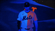 Baseball Mlb GIF by New York Mets