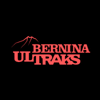 berninaultraks mountain mountains bu alps GIF