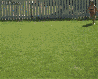 fail slip n slide GIF