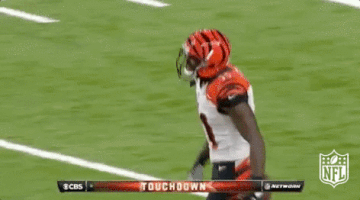 Cincinnati Bengals Football GIF by NFL