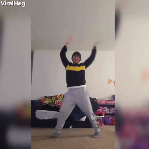Guy Dancing To K-Pop Accidentally Kicks Sister GIF by ViralHog