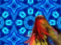 Rocking Rock And Roll GIF by Rob Zombie