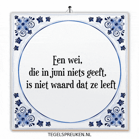 Humor Nl GIF by Tegelspreuken.nl