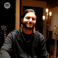 no way thumbs down GIF by Spotify