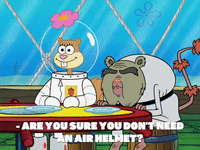 season 8 bubble troubles GIF by SpongeBob SquarePants