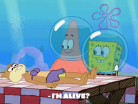 season 8 bubble troubles GIF by SpongeBob SquarePants