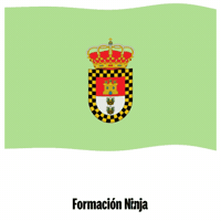 Bandera Malaga GIF by Formación Ninja