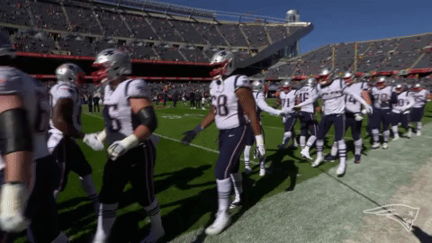 2018 Nfl Football GIF by New England Patriots