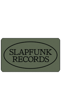 Dj House Sticker by Slapfunk records
