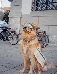 Germany Animation GIF by URBAN & UNCUT Studios