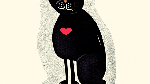 Evamirror giphyattribution giphybackdropmaker GIF