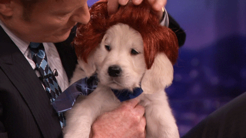 Conan Obrien GIF by Team Coco