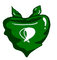 Mujeres Aborto Sticker