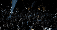 Ucf Basketball GIF by UCF Knights