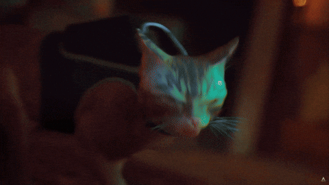Neon City Cat GIF