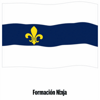 Flag Spain GIF by Formación Ninja