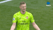 Arsenal Goalkeeper GIF by MolaTV