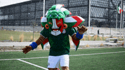 mexico kin GIF by MiSelecciónMX