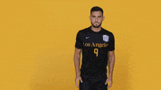 Cal State La Soccer GIF by Cal State LA Golden Eagles