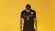 Cal State La Soccer GIF by Cal State LA Golden Eagles