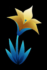 trentofilmfestival trentofilmfestival tff2020 festivaldimontagna GIF