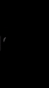Free Fire GIF