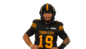 Hamilton Tiger-Cats Cfl Sticker by Hamilton Sports Group