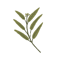 PentaLabOfficial relax self care routine lavender Sticker