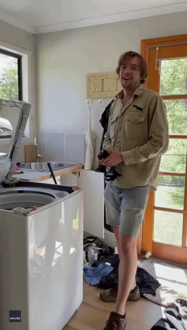 'Cheeky' Carpet Python Pulled From Queensland Washing Machine