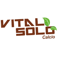Calcio Sticker by IASA