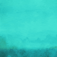 Landing Pumpkin Spice GIF by VeeFriends