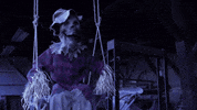 GIF by Spirit Halloween