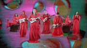 cellophane GIF by King Gizzard & The Lizard Wizard