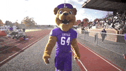 College Football Mascot GIF by Linfield College