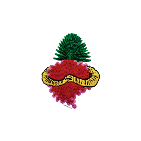 wacoletivo giphyupload heart coracao wa coletivo Sticker