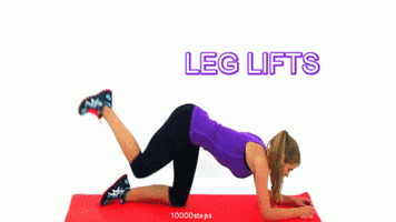 bootcamp excersise GIF