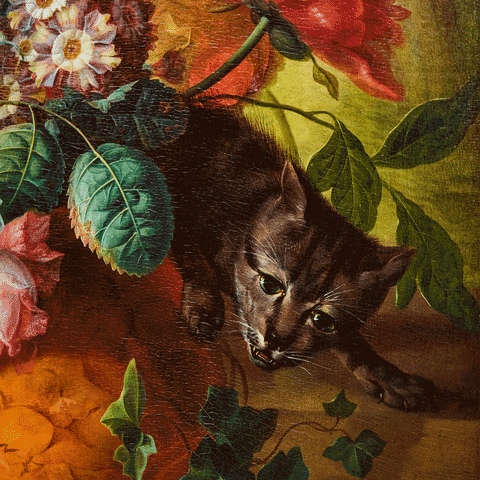 Cat Wink GIF by Grachtenmuseum Amsterdam