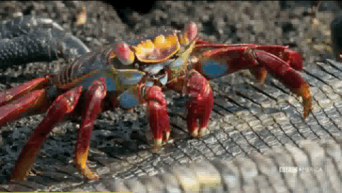 GIF by Vulture.com
