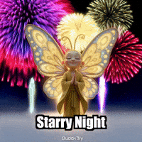 Starry Night Fireworks GIF by BuddhaFlyJourney
