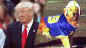 GIF by Mashable
