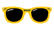 Black Hills Sunglasses Sticker by Black Hills State University