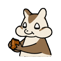 Squirrel Eat Sticker