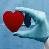 Valentines Day Love GIF by TRT