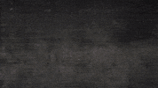 GIF by ragingbully