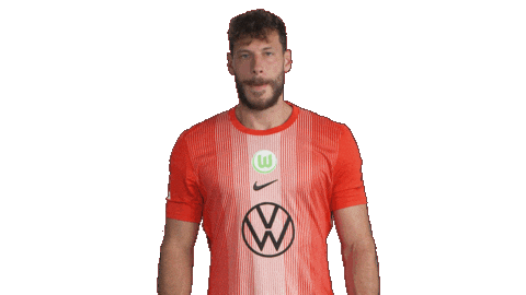 Germany Applause Sticker by VfL Wolfsburg