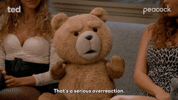 Serious Bear GIF by Peacock