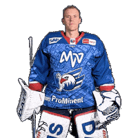 Hockey Goalie Sticker by Adler Mannheim