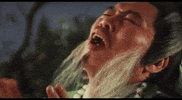 martial arts please GIF by Shaw Brothers