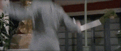 martial arts fight GIF by Shaw Brothers