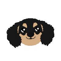 Dachshund Zeus Sticker